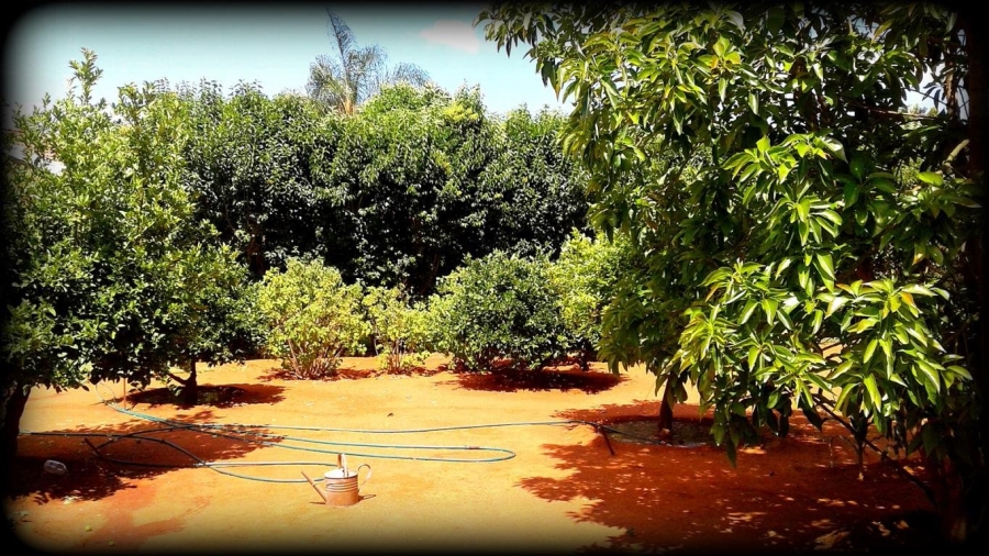 Commercial Property for Sale in Ivydale A H Limpopo