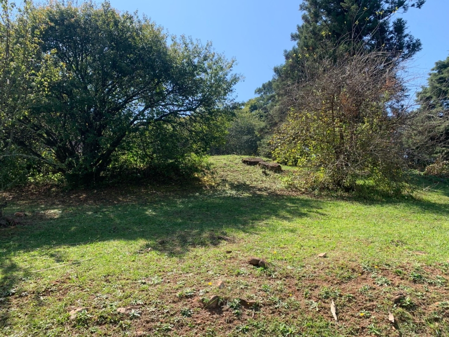 Commercial Property for Sale in Haenertsburg Limpopo