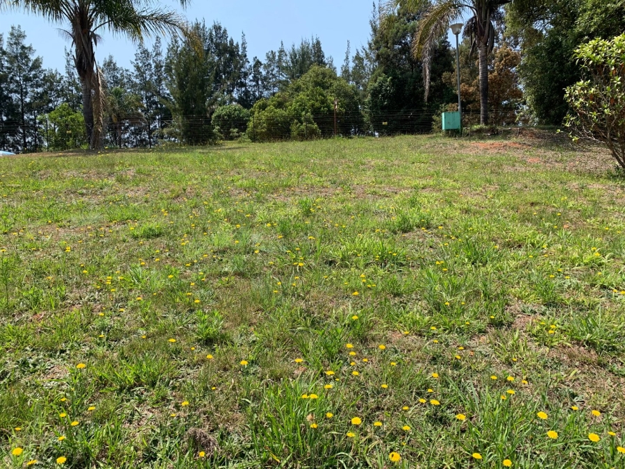 Commercial Property for Sale in Misty Crown Limpopo