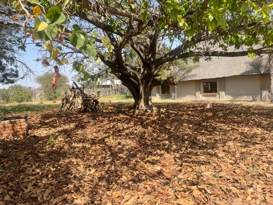 Commercial Property for Sale in Doornbult Limpopo