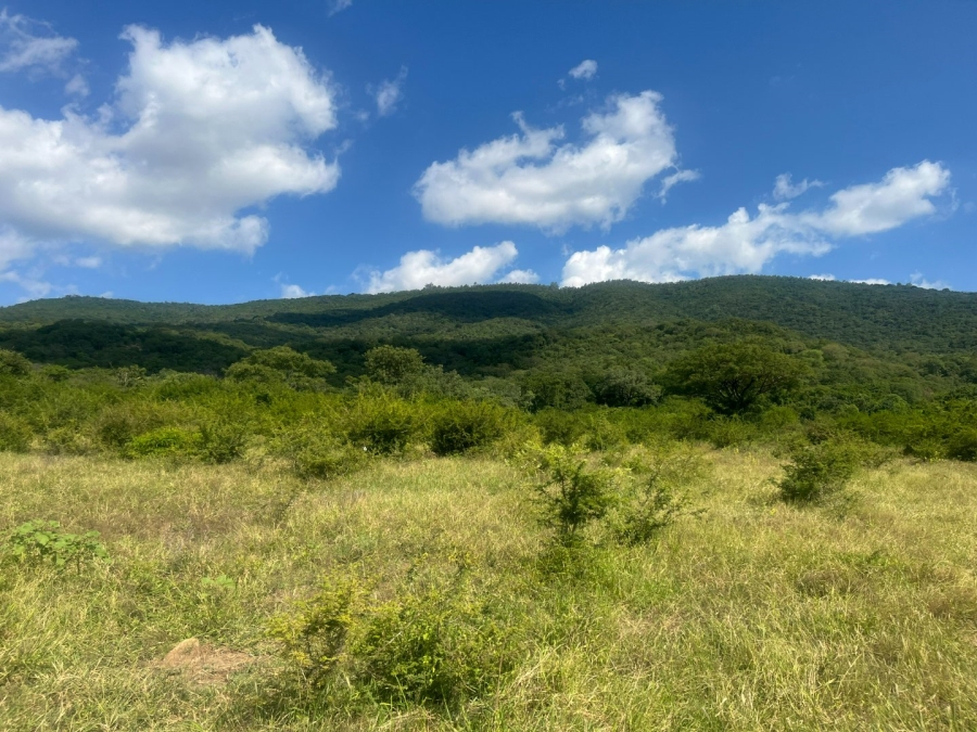 Commercial Property for Sale in Tzaneen Rural Limpopo