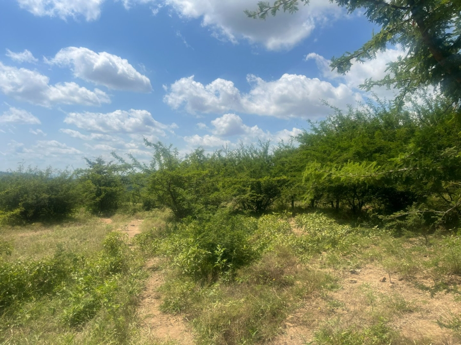 Commercial Property for Sale in Tzaneen Rural Limpopo