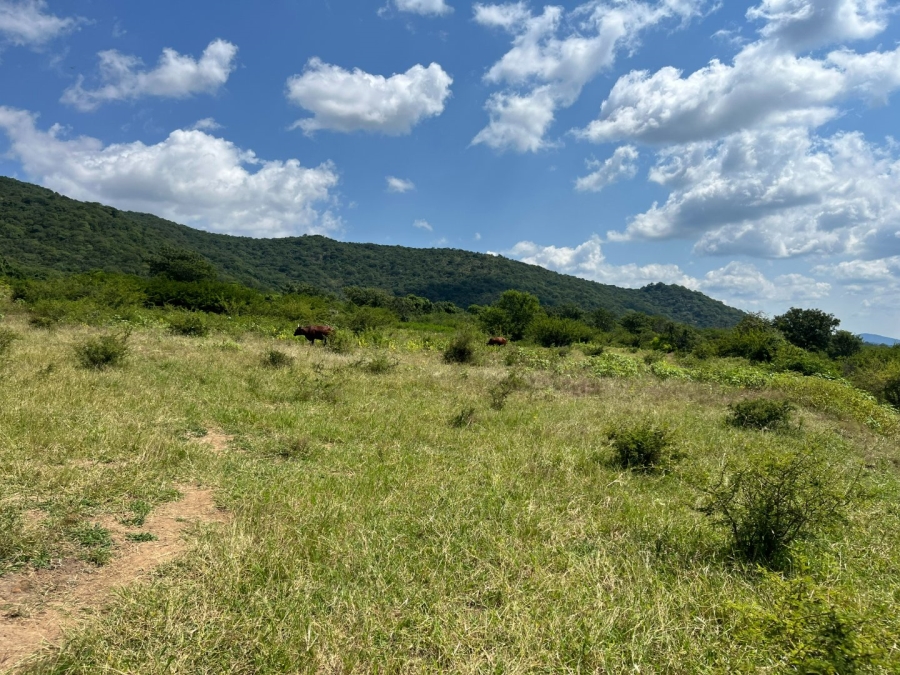 Commercial Property for Sale in Tzaneen Rural Limpopo
