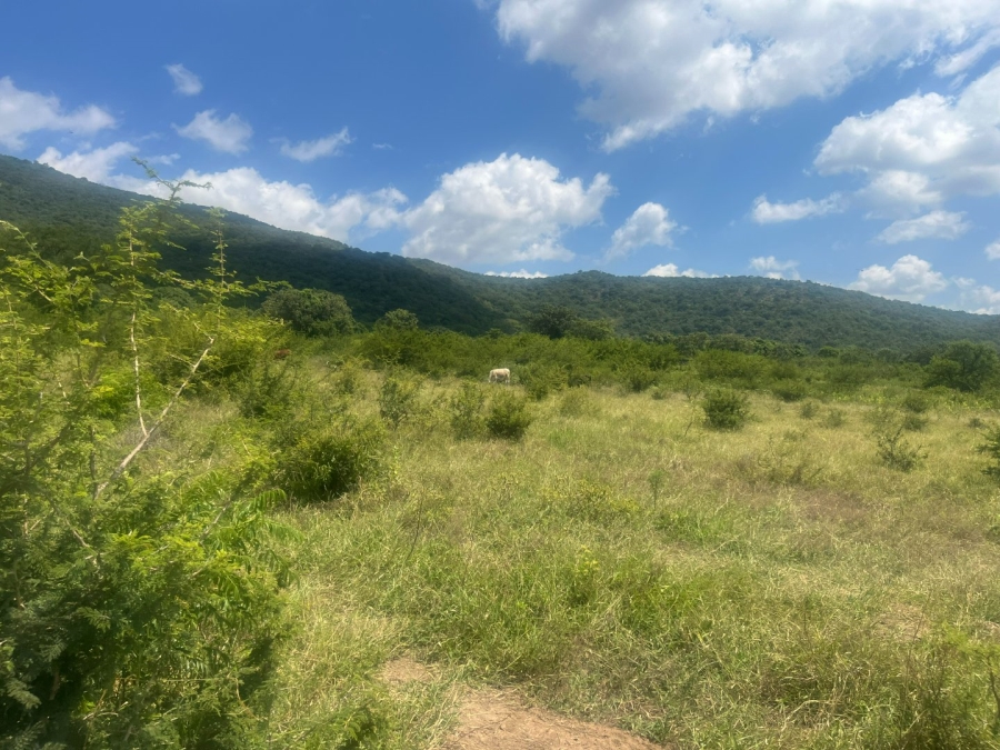 Commercial Property for Sale in Tzaneen Rural Limpopo