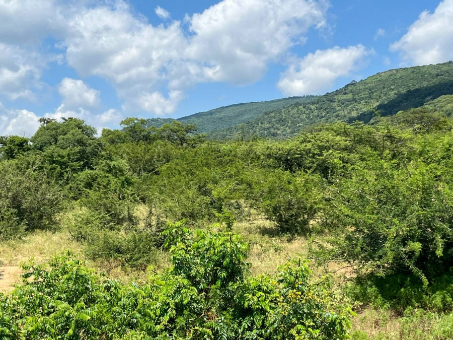 Commercial Property for Sale in Tzaneen Rural Limpopo