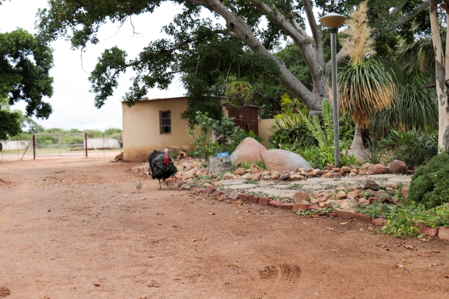 Commercial Property for Sale in Polokwane Rural Limpopo