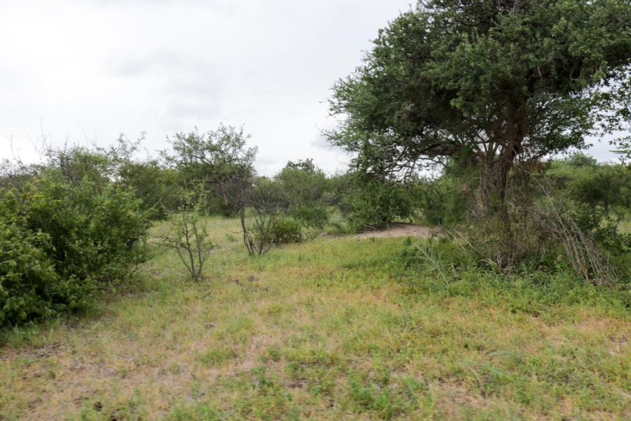 Commercial Property for Sale in Polokwane Rural Limpopo