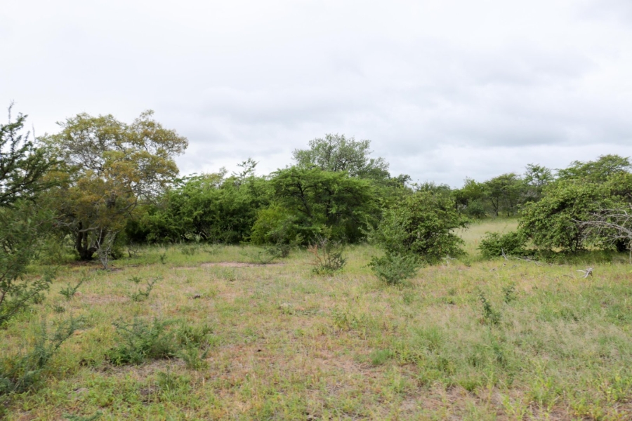 Commercial Property for Sale in Polokwane Rural Limpopo