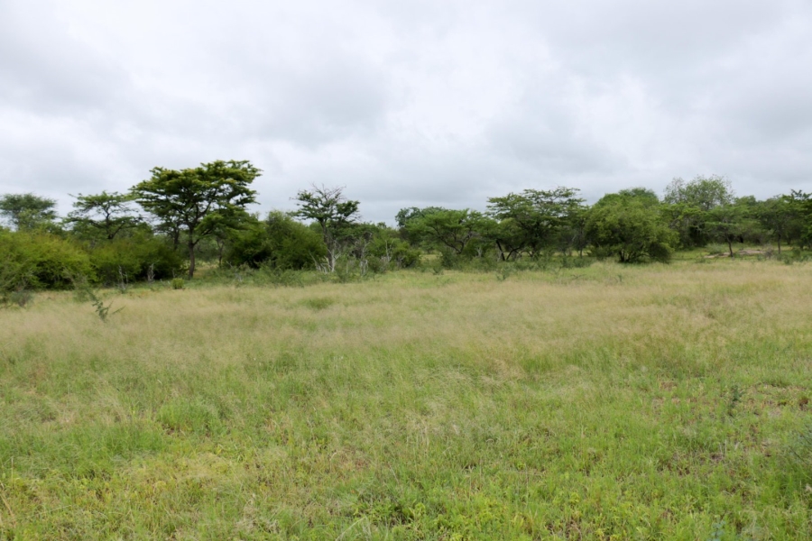 Commercial Property for Sale in Polokwane Rural Limpopo
