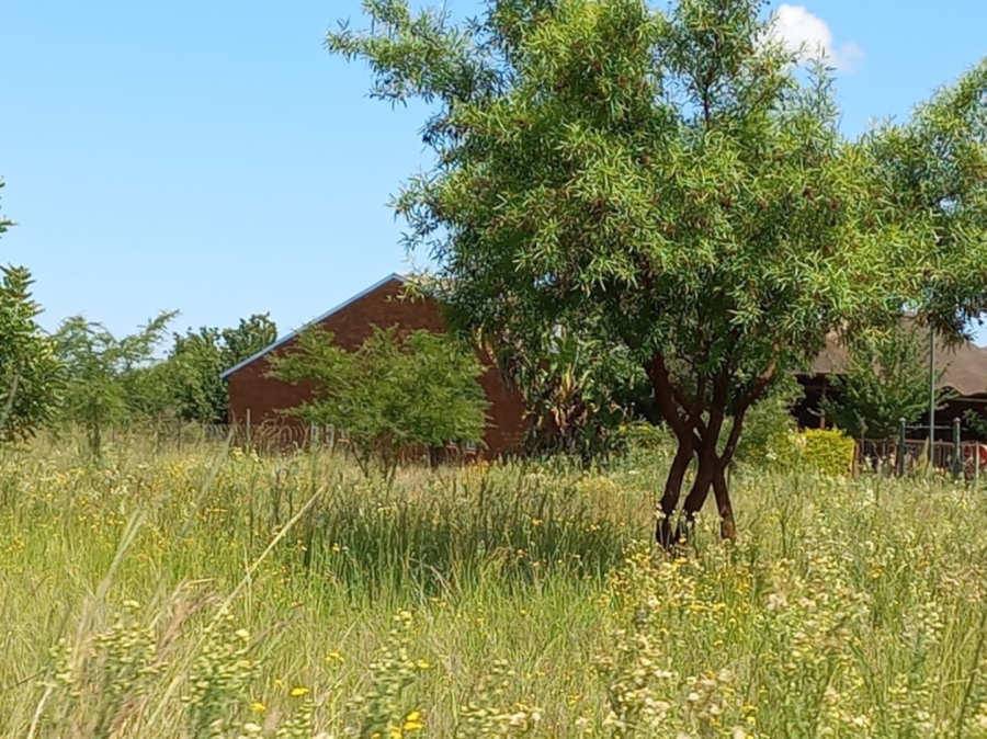 9 Bedroom Property for Sale in Bela Bela Limpopo