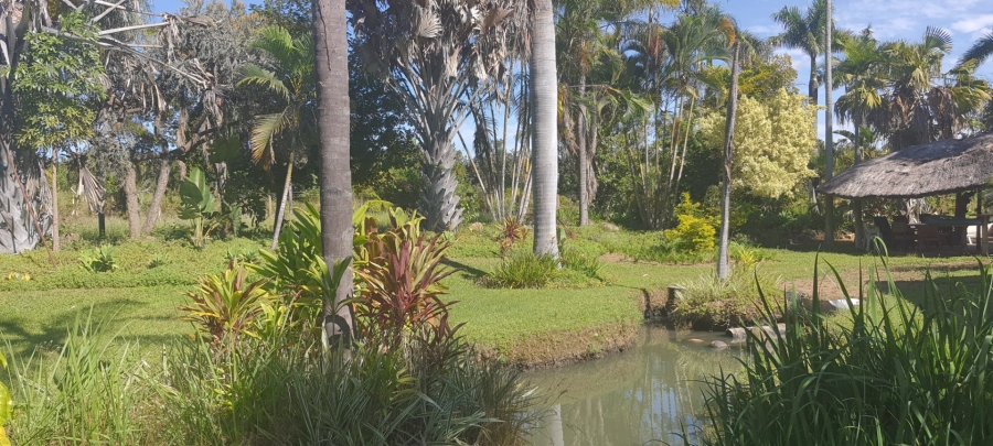 Commercial Property for Sale in Tzaneen Rural Limpopo