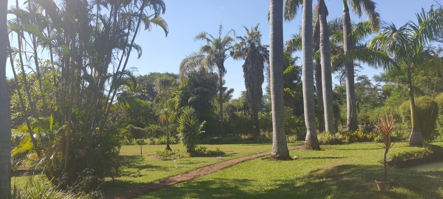 Commercial Property for Sale in Tzaneen Rural Limpopo