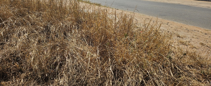 Commercial Property for Sale in Ladine Limpopo
