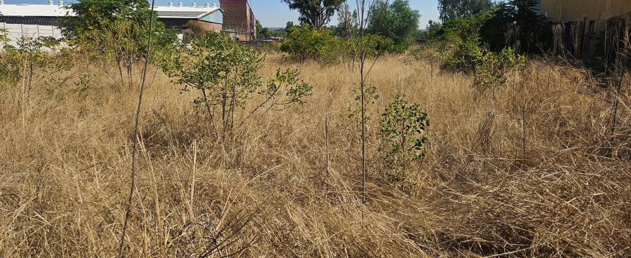 Commercial Property for Sale in Ladine Limpopo