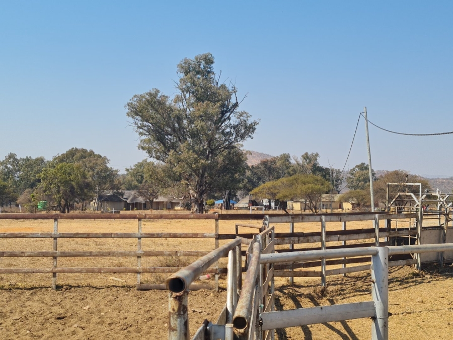 Commercial Property for Sale in Polokwane Rural Limpopo