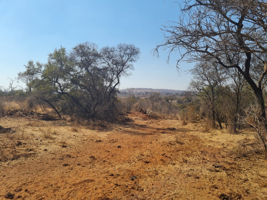 Commercial Property for Sale in Polokwane Rural Limpopo