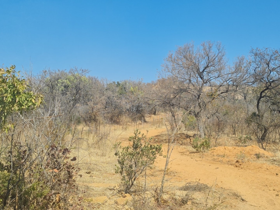 Commercial Property for Sale in Polokwane Rural Limpopo