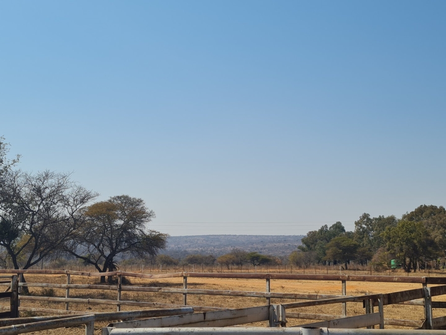 Commercial Property for Sale in Polokwane Rural Limpopo