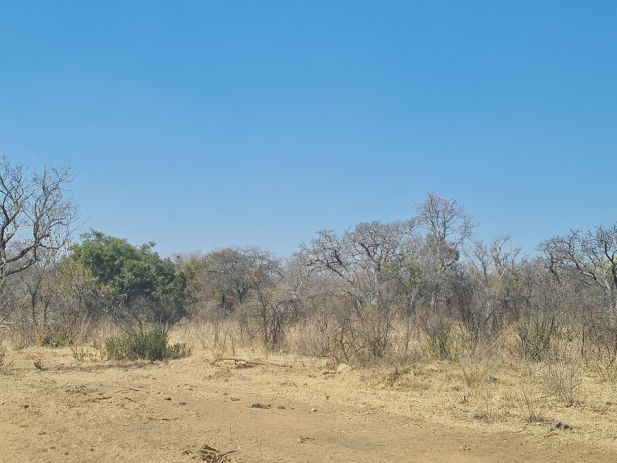 Commercial Property for Sale in Polokwane Rural Limpopo