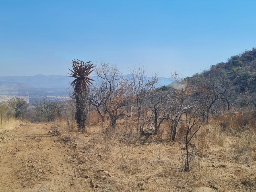 Commercial Property for Sale in Polokwane Rural Limpopo