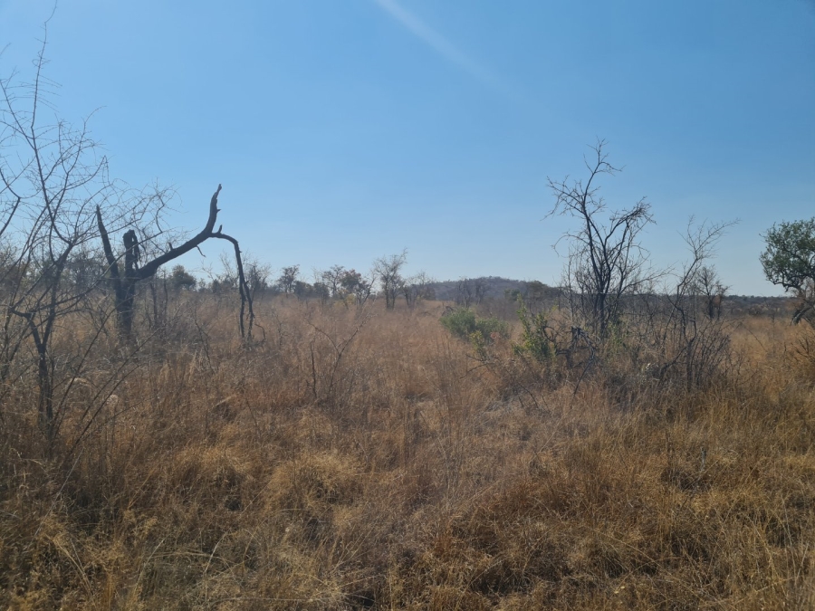 Commercial Property for Sale in Polokwane Rural Limpopo