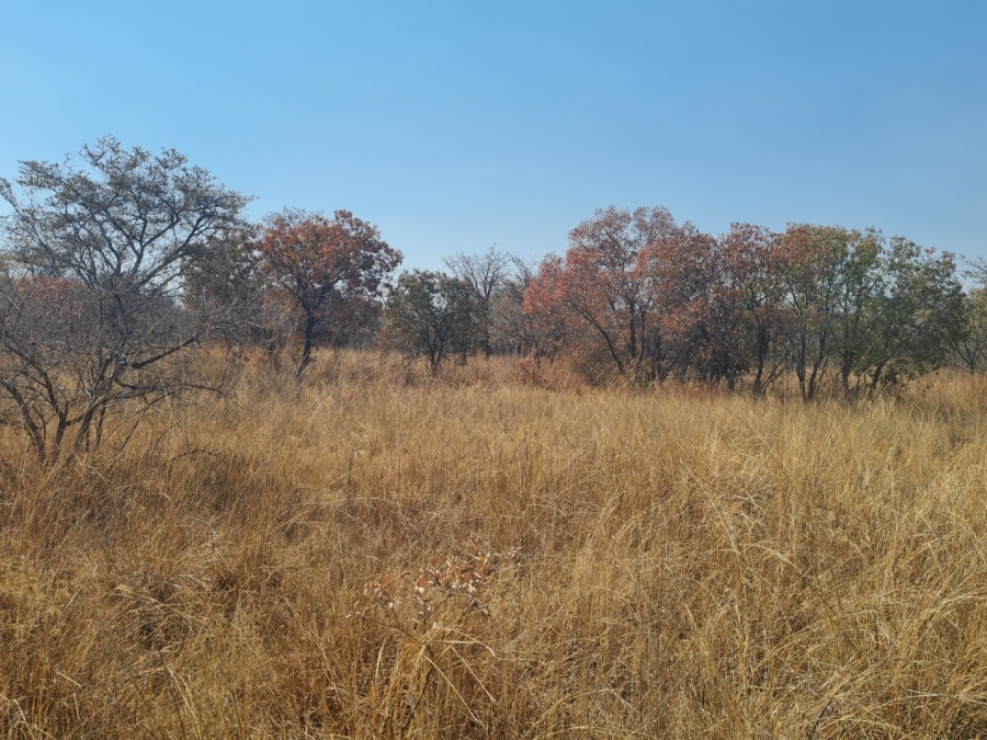 Commercial Property for Sale in Polokwane Rural Limpopo