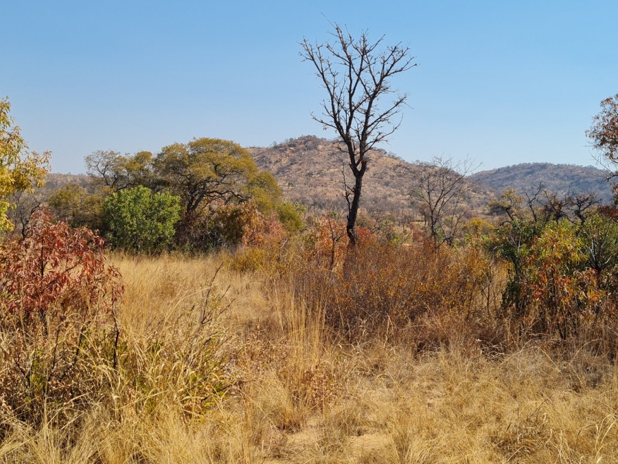 Commercial Property for Sale in Polokwane Rural Limpopo