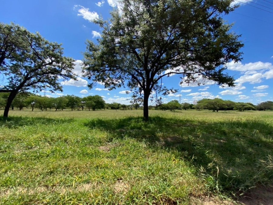Commercial Property for Sale in Bendor Limpopo