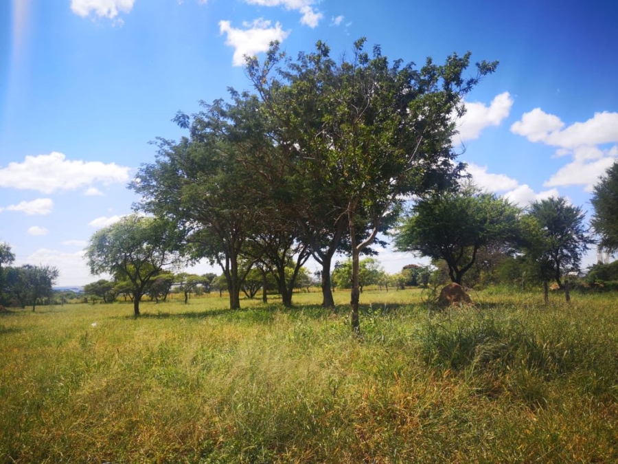 Commercial Property for Sale in Bendor Limpopo
