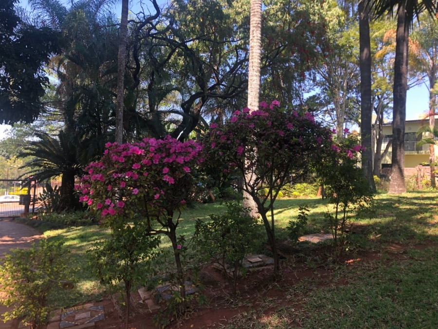 6 Bedroom Property for Sale in Fauna Park Limpopo