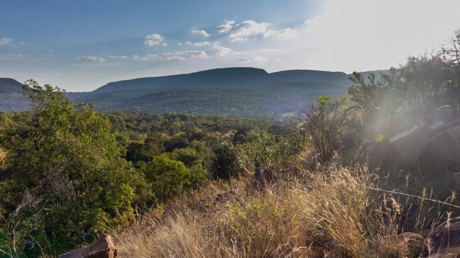 0 Bedroom Property for Sale in Modimolle Limpopo