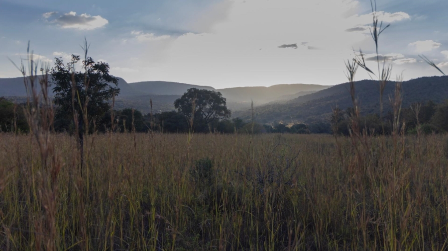 0 Bedroom Property for Sale in Modimolle Limpopo