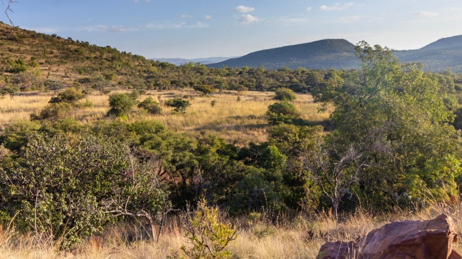 0 Bedroom Property for Sale in Modimolle Limpopo