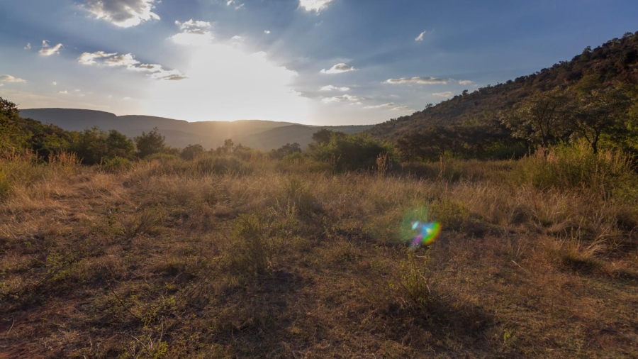 0 Bedroom Property for Sale in Modimolle Limpopo