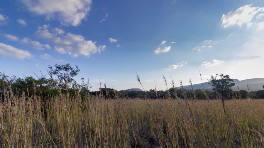 0 Bedroom Property for Sale in Modimolle Limpopo