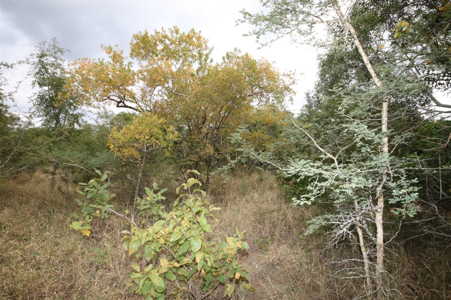 0 Bedroom Property for Sale in Moditlo Wildlife Estate Limpopo