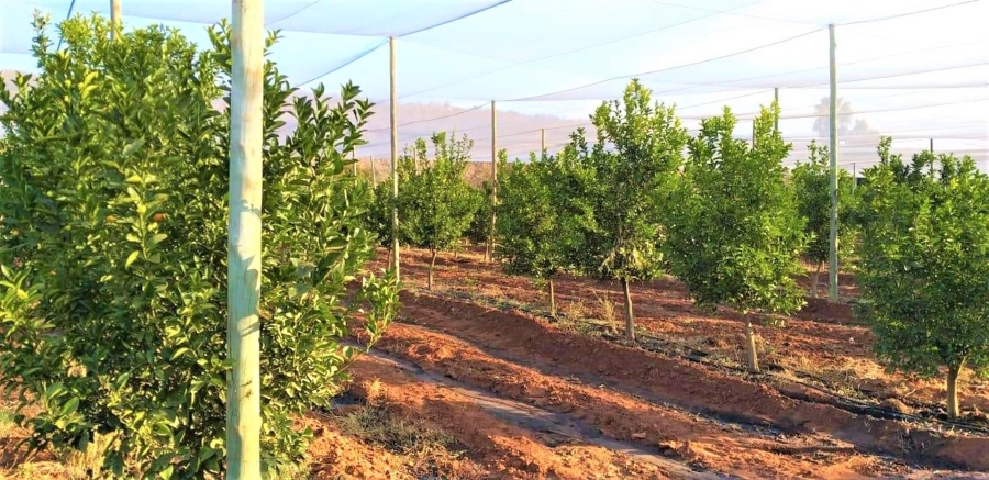 0 Bedroom Property for Sale in Modimolle Limpopo