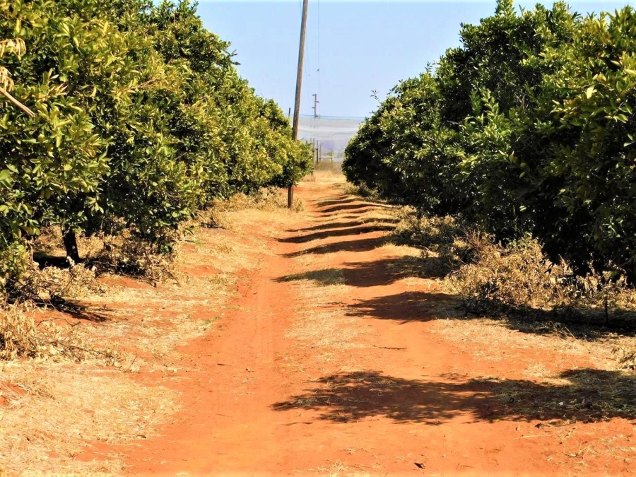 0 Bedroom Property for Sale in Modimolle Limpopo