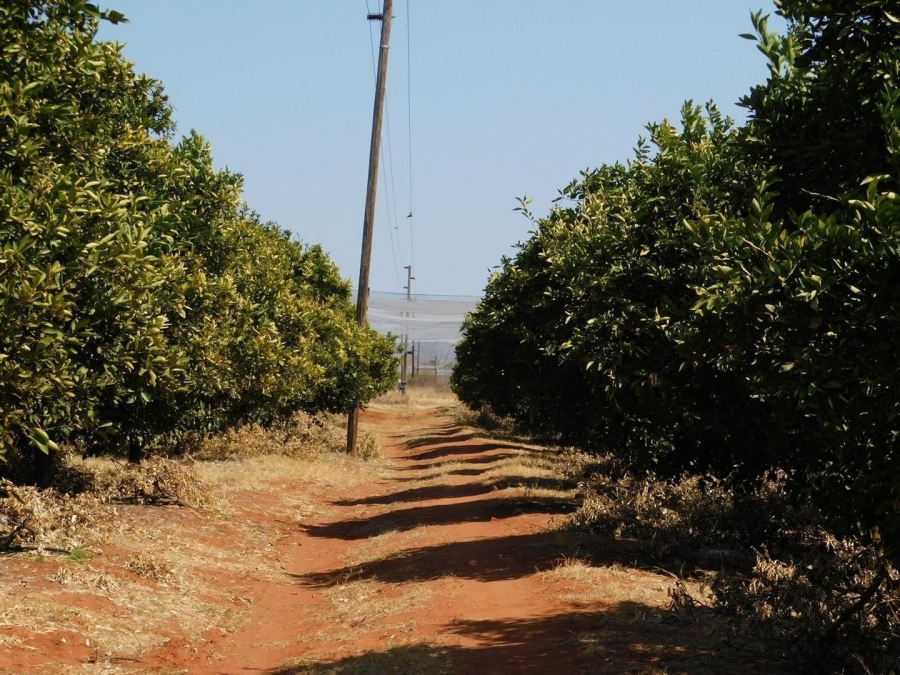 0 Bedroom Property for Sale in Modimolle Limpopo