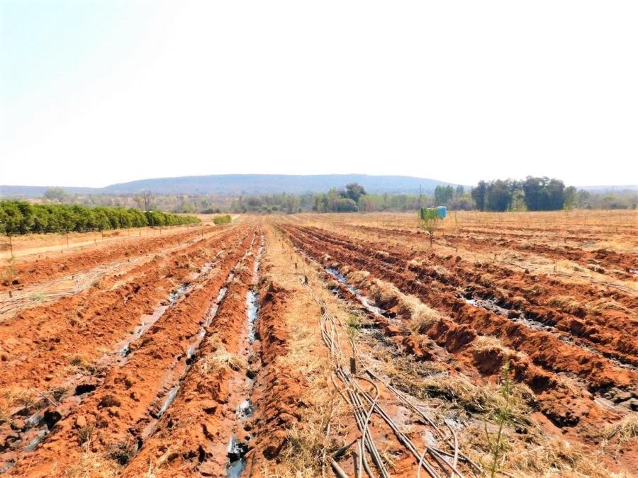 0 Bedroom Property for Sale in Modimolle Limpopo