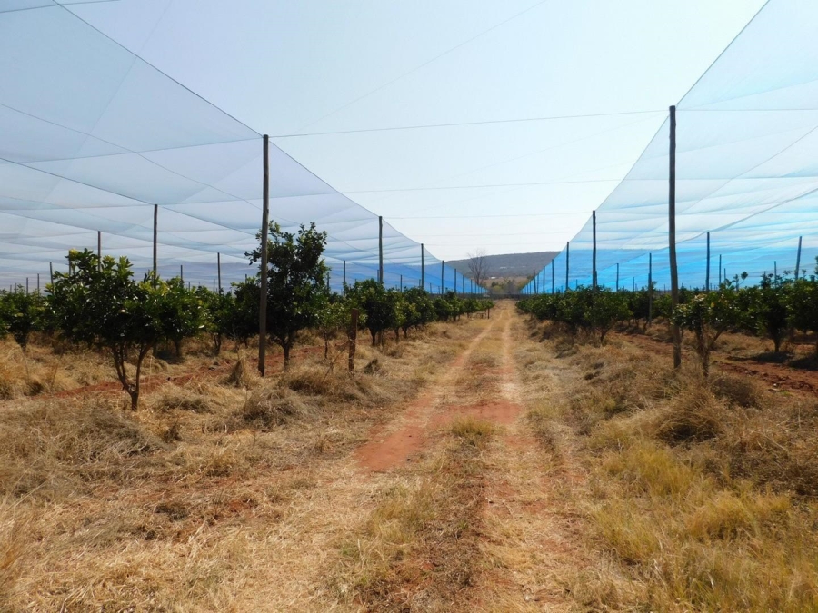 0 Bedroom Property for Sale in Modimolle Limpopo