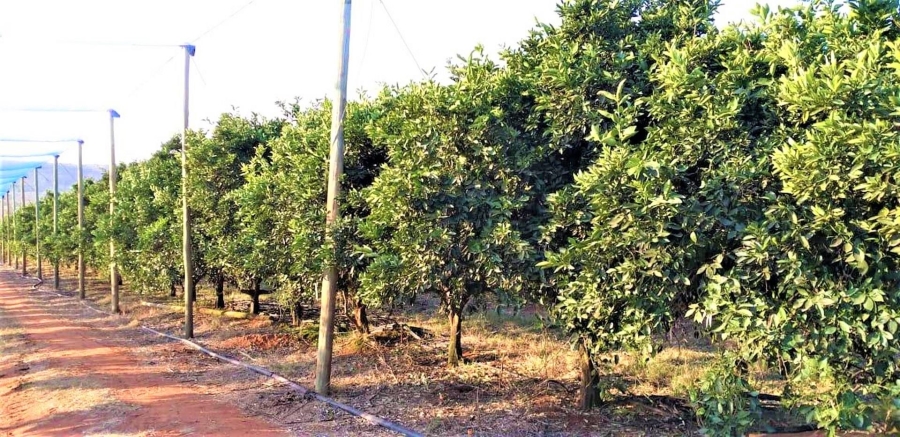 0 Bedroom Property for Sale in Modimolle Limpopo