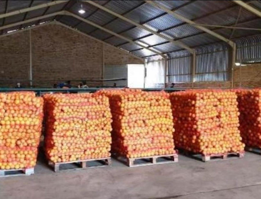 0 Bedroom Property for Sale in Modimolle Limpopo