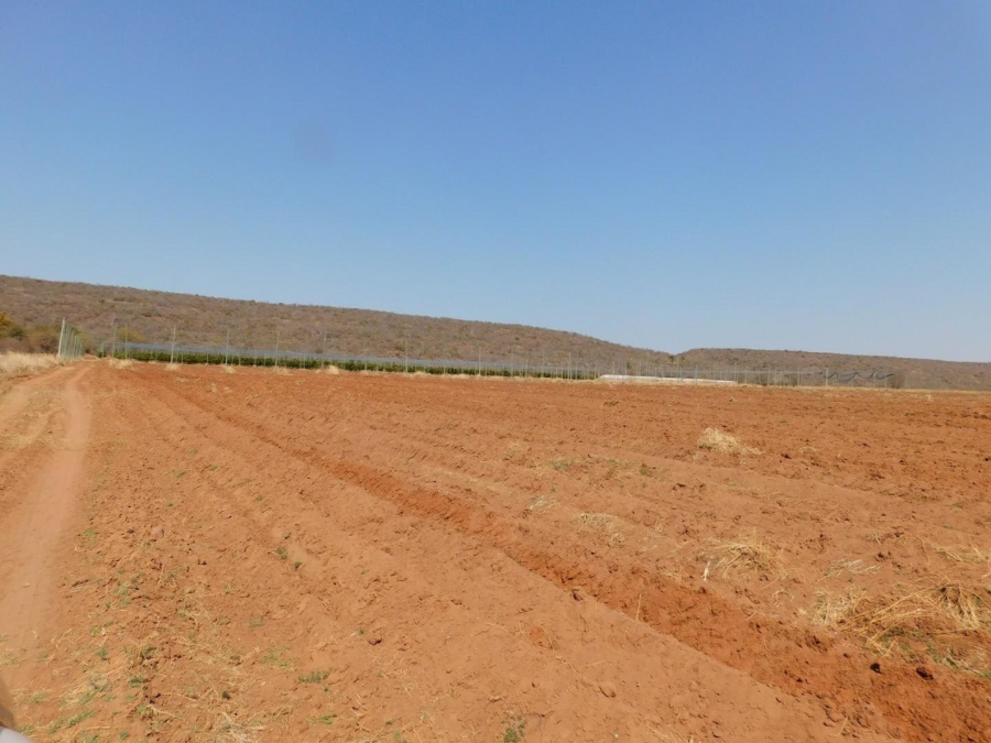 0 Bedroom Property for Sale in Modimolle Limpopo