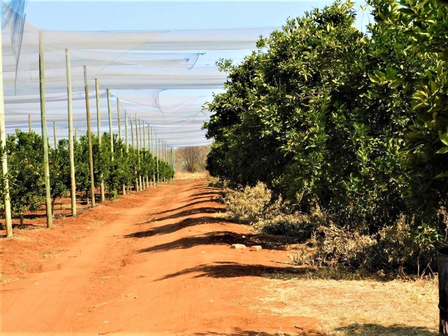 0 Bedroom Property for Sale in Modimolle Limpopo