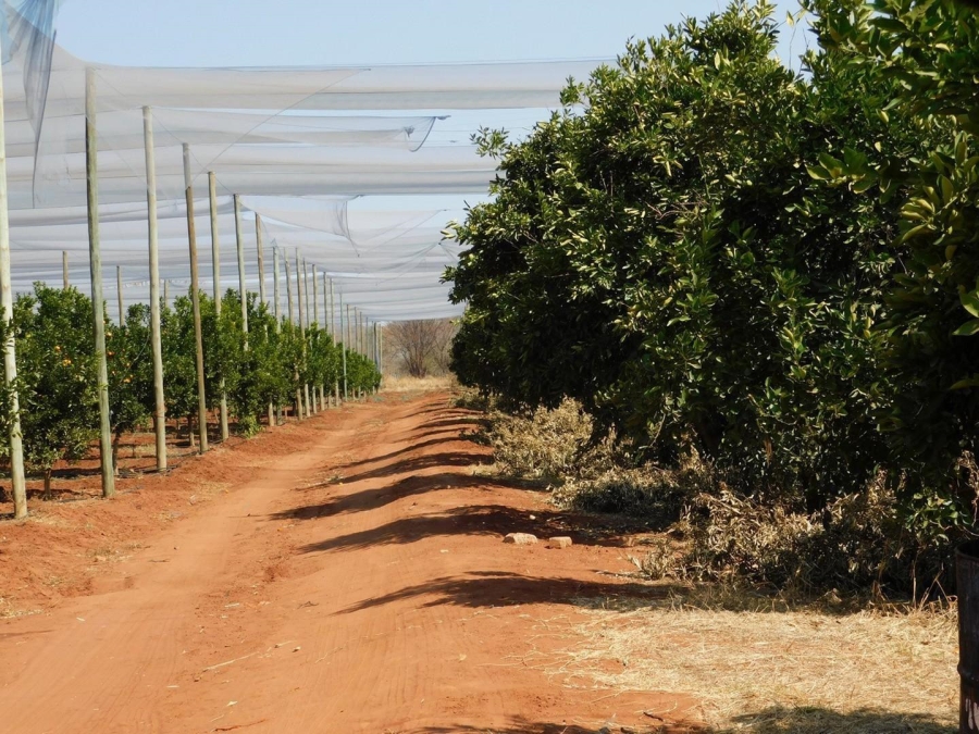 0 Bedroom Property for Sale in Modimolle Limpopo