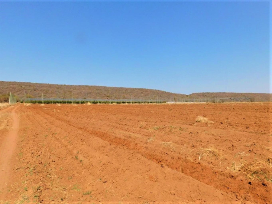 0 Bedroom Property for Sale in Modimolle Limpopo