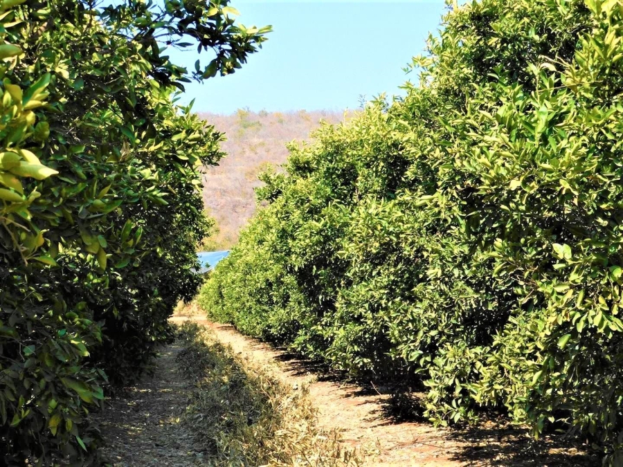 0 Bedroom Property for Sale in Modimolle Limpopo