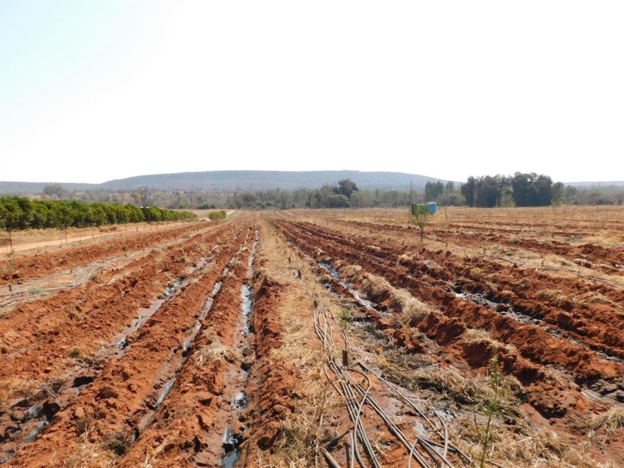 0 Bedroom Property for Sale in Modimolle Limpopo