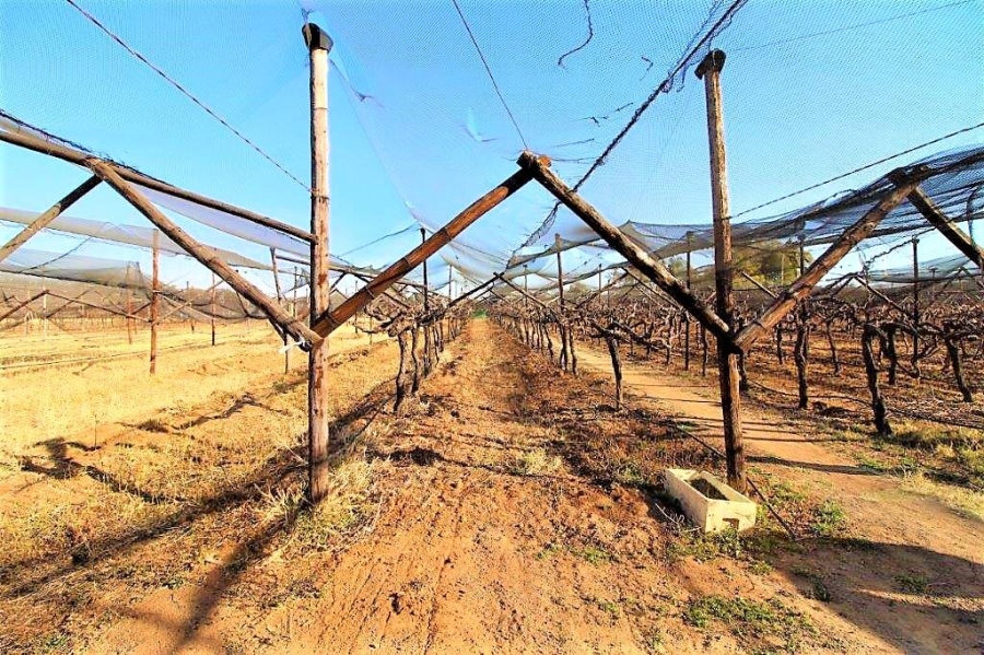 16 Bedroom Property for Sale in Modimolle Limpopo